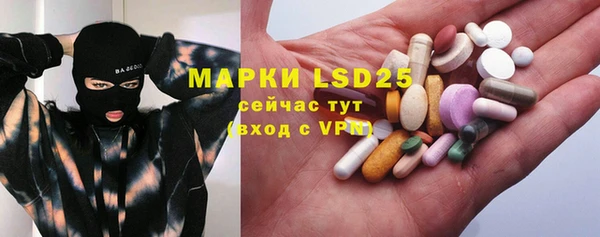 ГАЛЛЮЦИНОГЕННЫЕ ГРИБЫ Аркадак