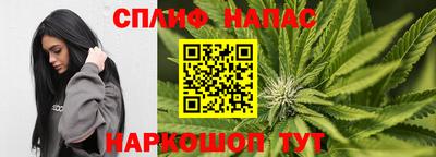 трава Аргун