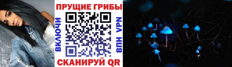 дарнет шоп  Гуково  Псилоцибиновые грибы GOLDEN TEACHER 